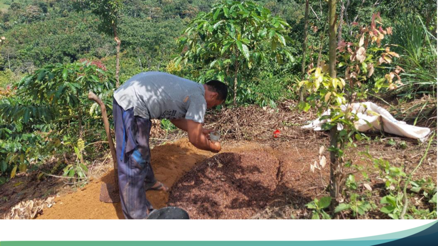 Field School Turned Environmentally Friendly