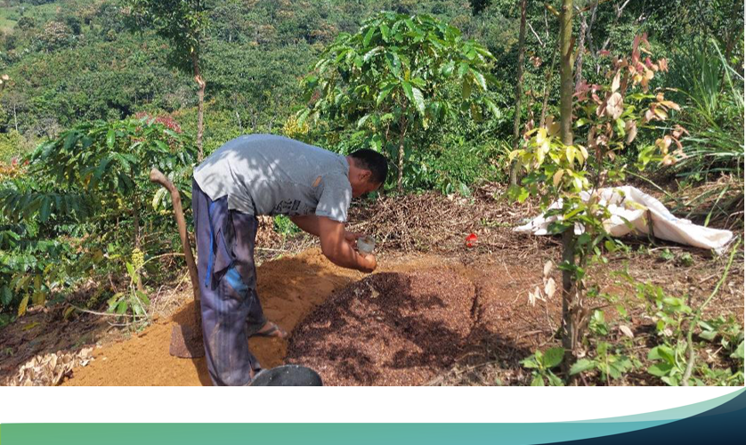 Field School Turned Environmentally Friendly