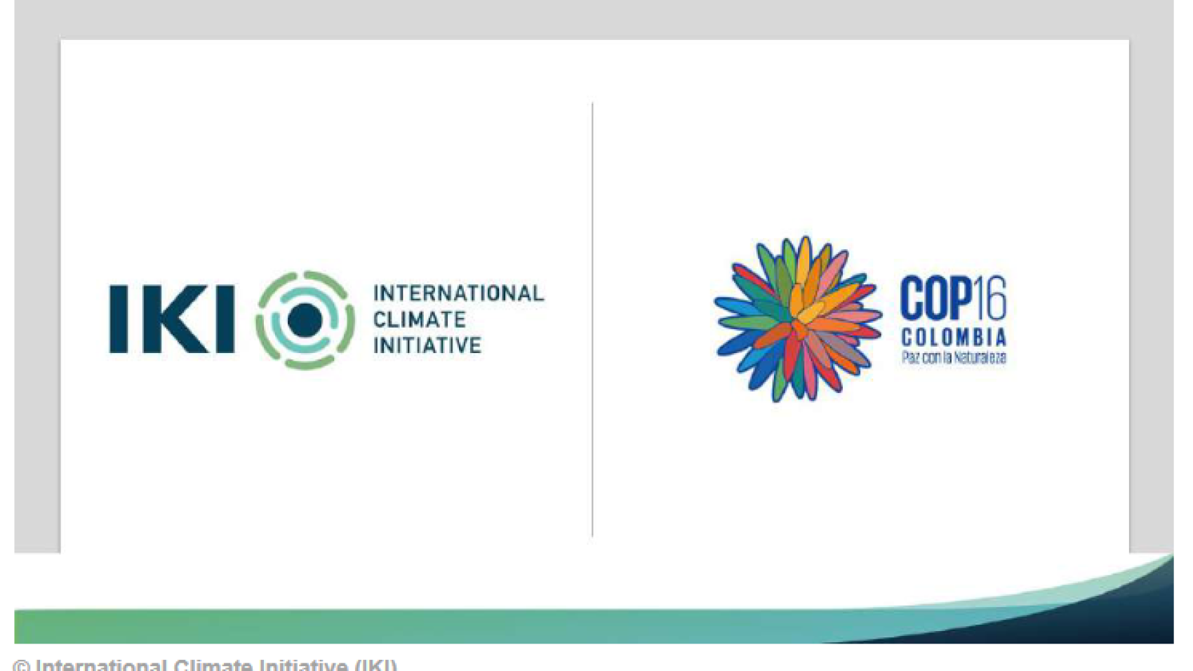 IKI at the CBD COP16