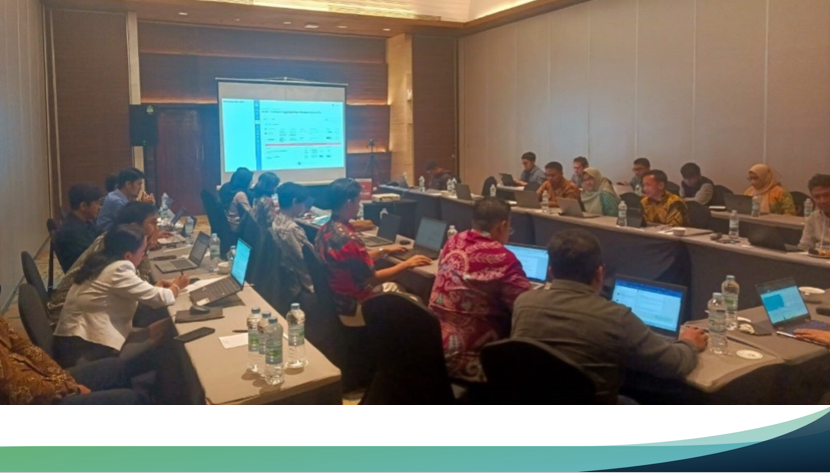 Interoperability and Alignment of National
