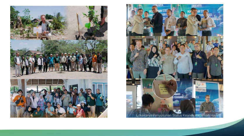 Kick-off Meeting