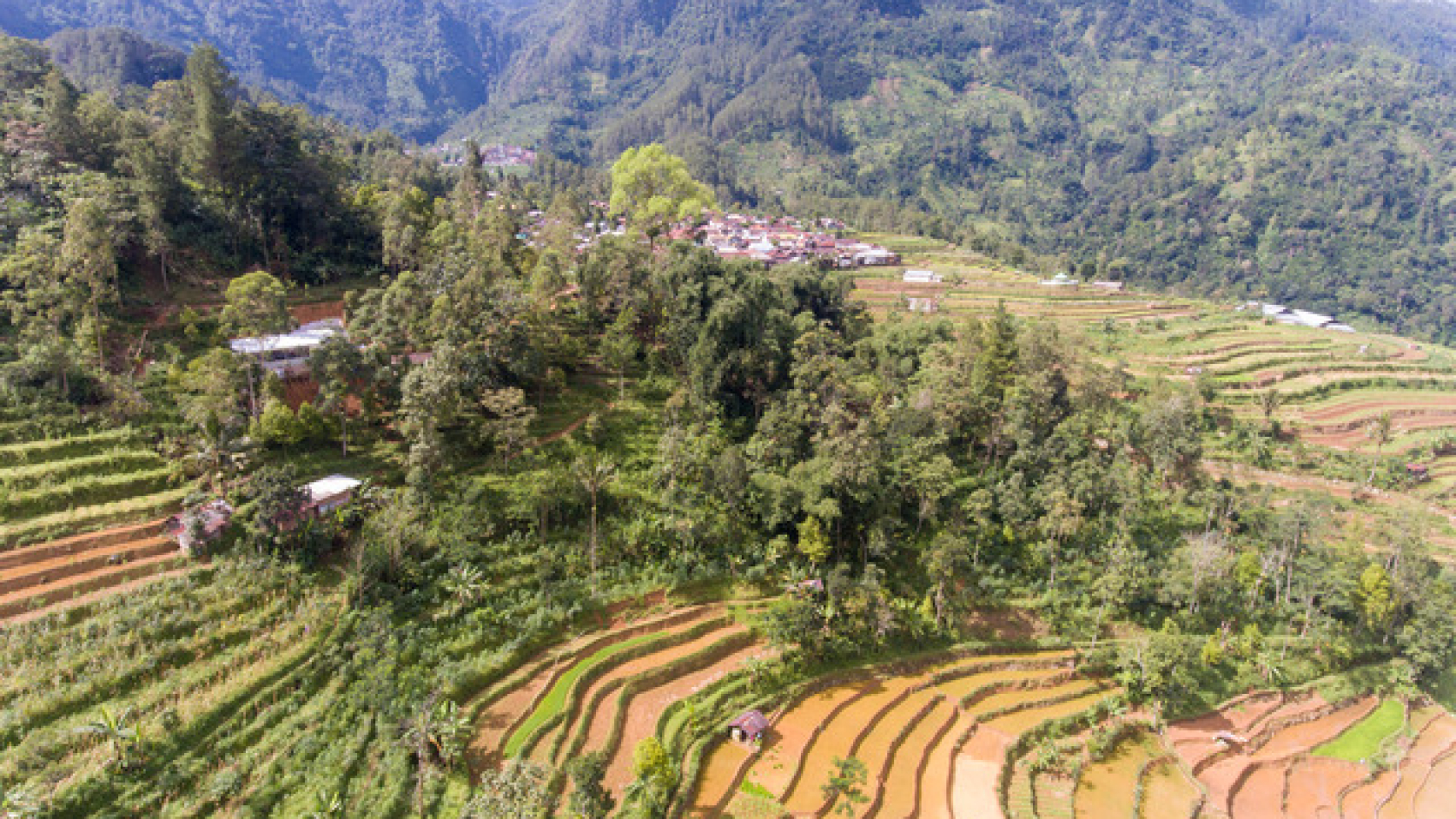 A_IDN_40305-©-Eka-B.-Panuntun-01