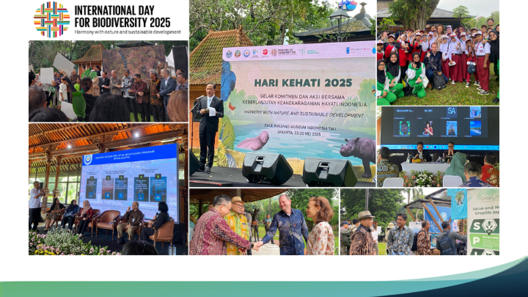 Slide19
