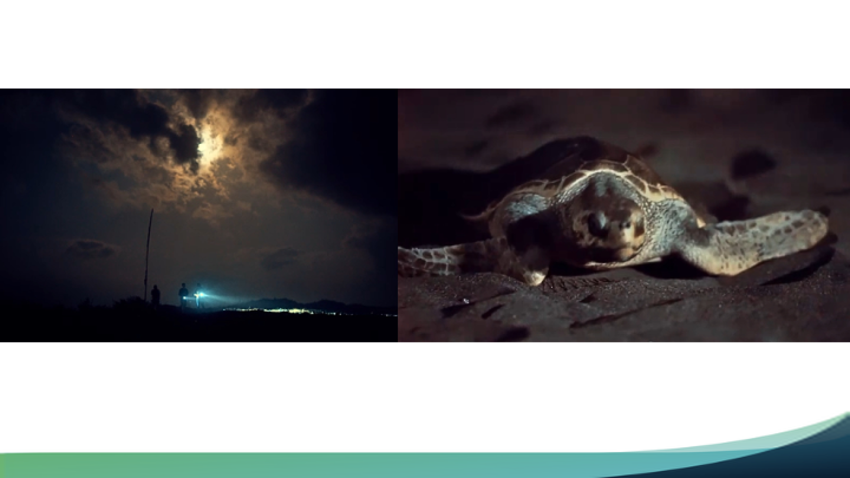 Slide4
