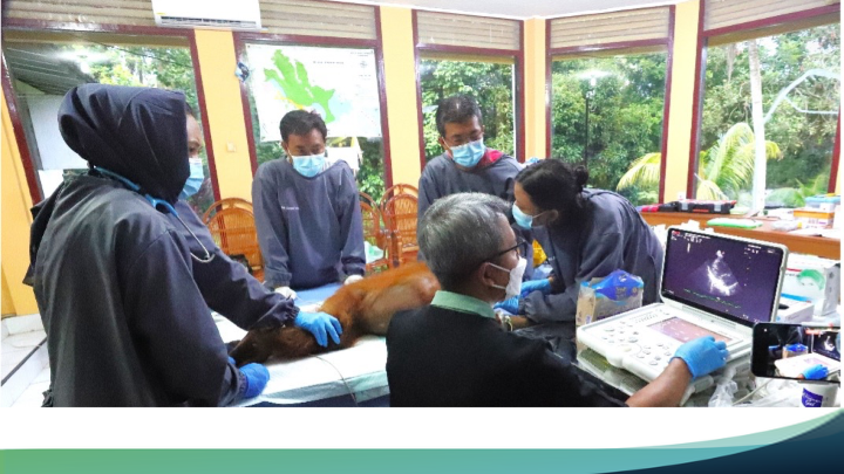Slide8
