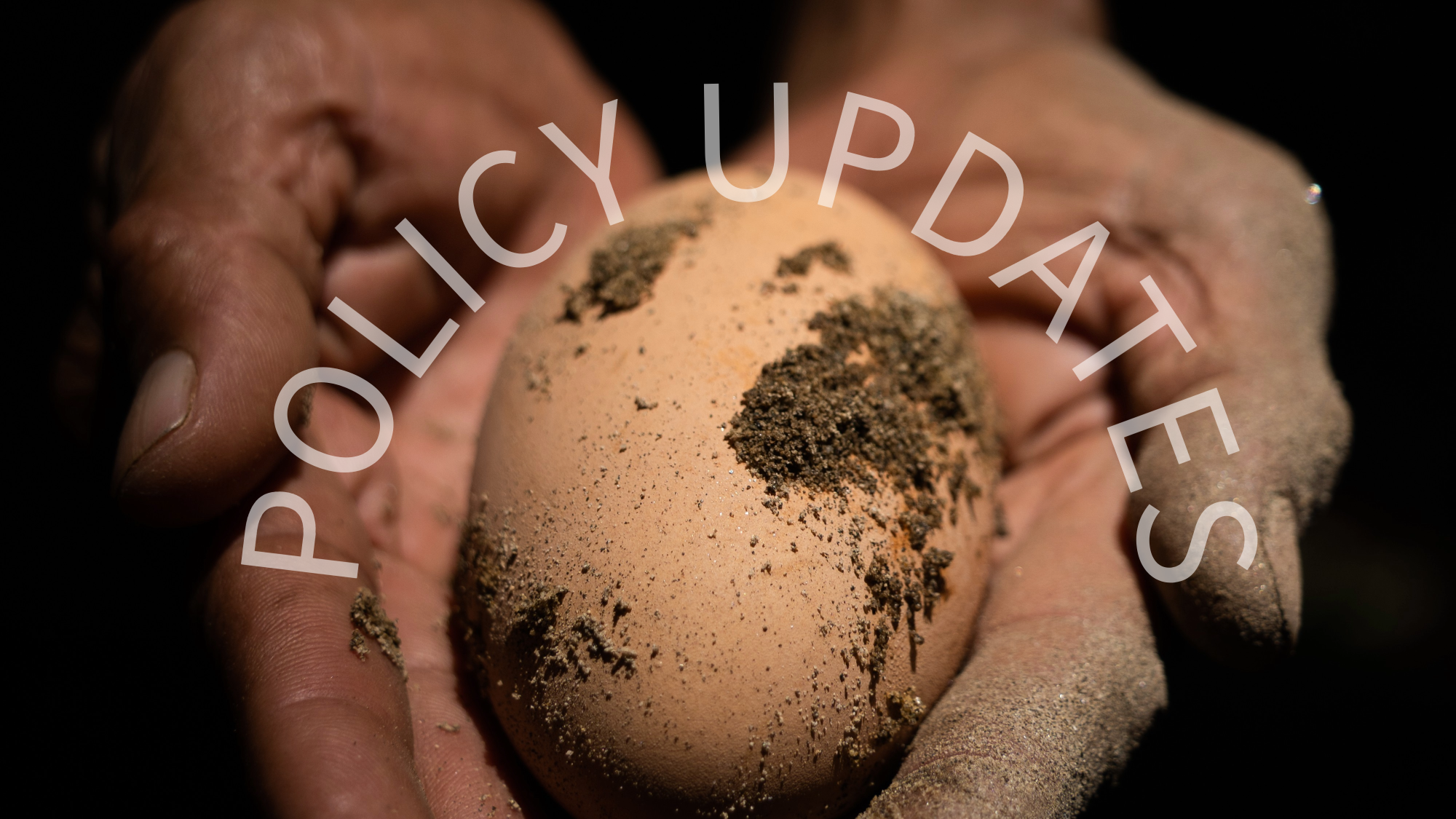 policy updates feature