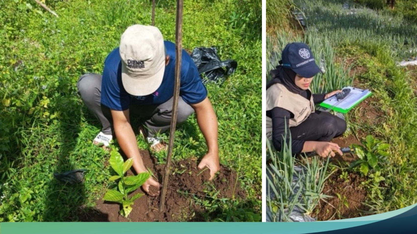 Community-based agroforestry