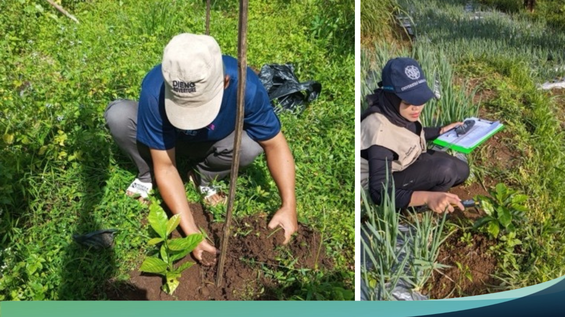 Community-based agroforestry