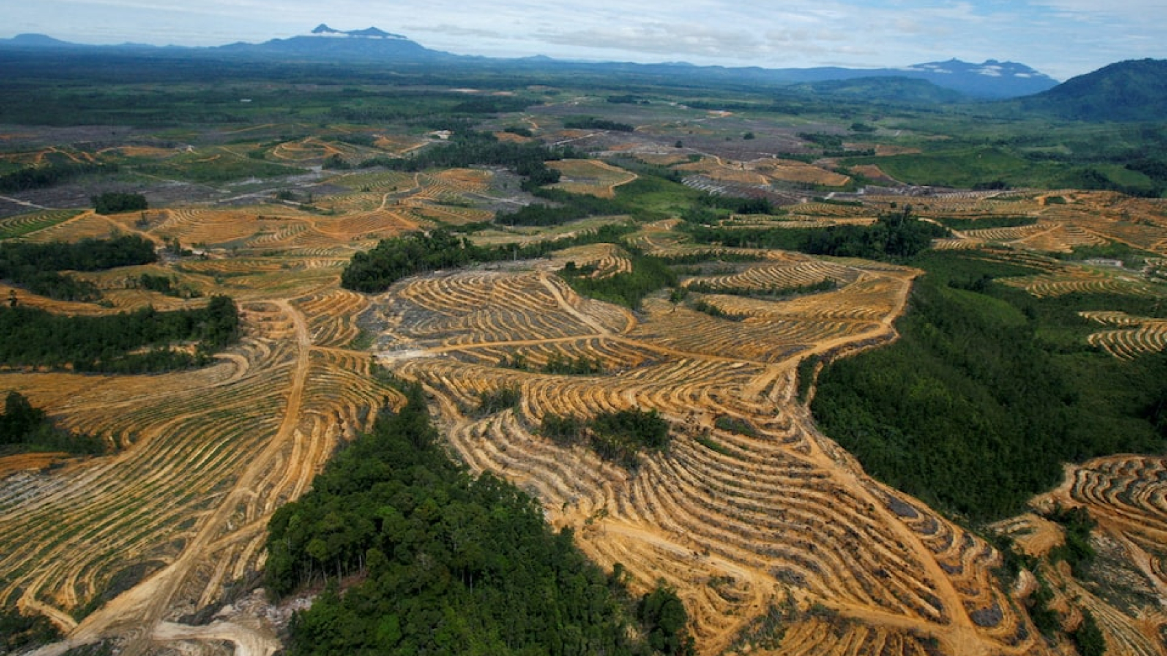 Sumatra Ecological Disaster: From Emergency Response to Proactive Climate Risk Management