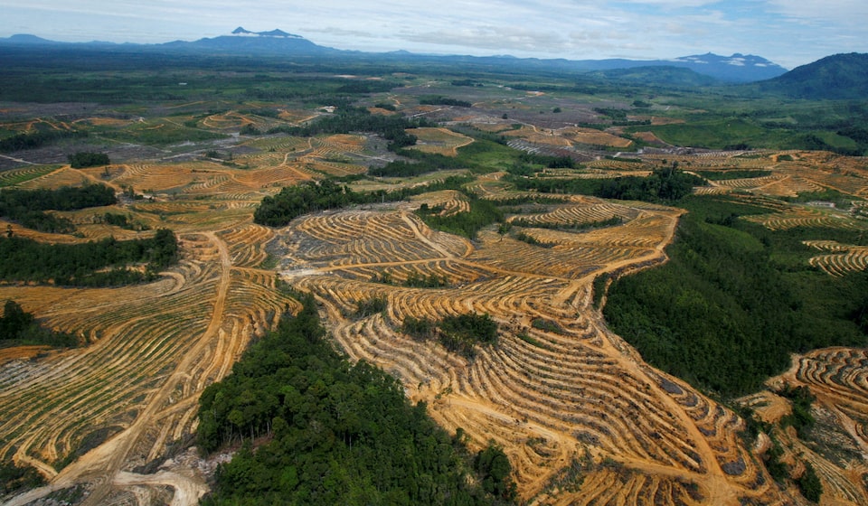 Sumatra Ecological Disaster: From Emergency Response to Proactive Climate Risk Management