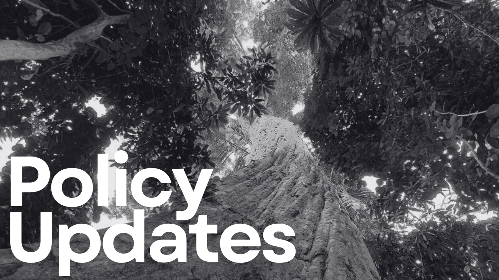 POLICY UPDATES-3