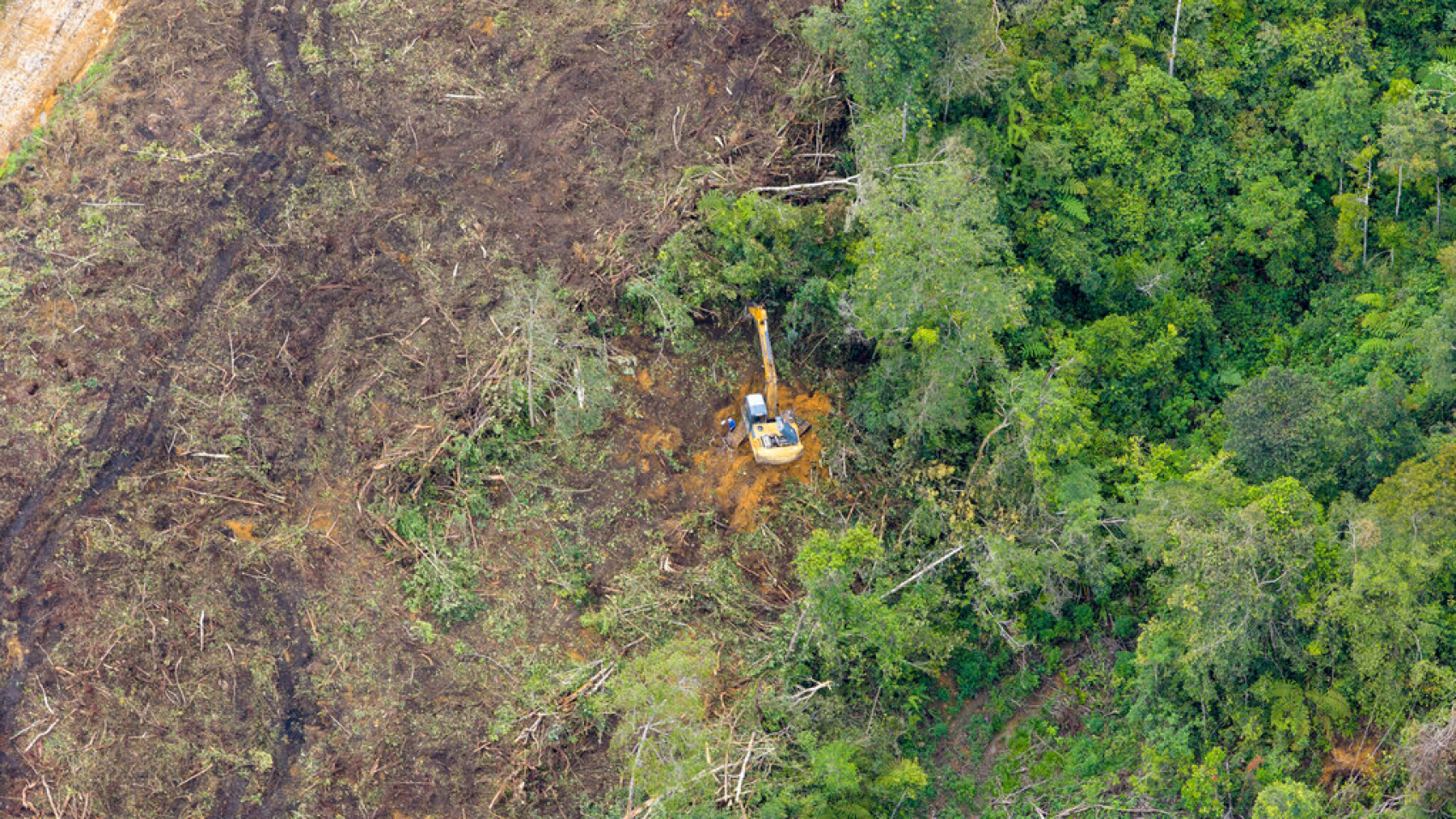 Deforestation resulting from expansion in the PT Toba Pulp Lestari pulpwood concession’s Aek Raja sector, North Tapanuli, North Sumatra
