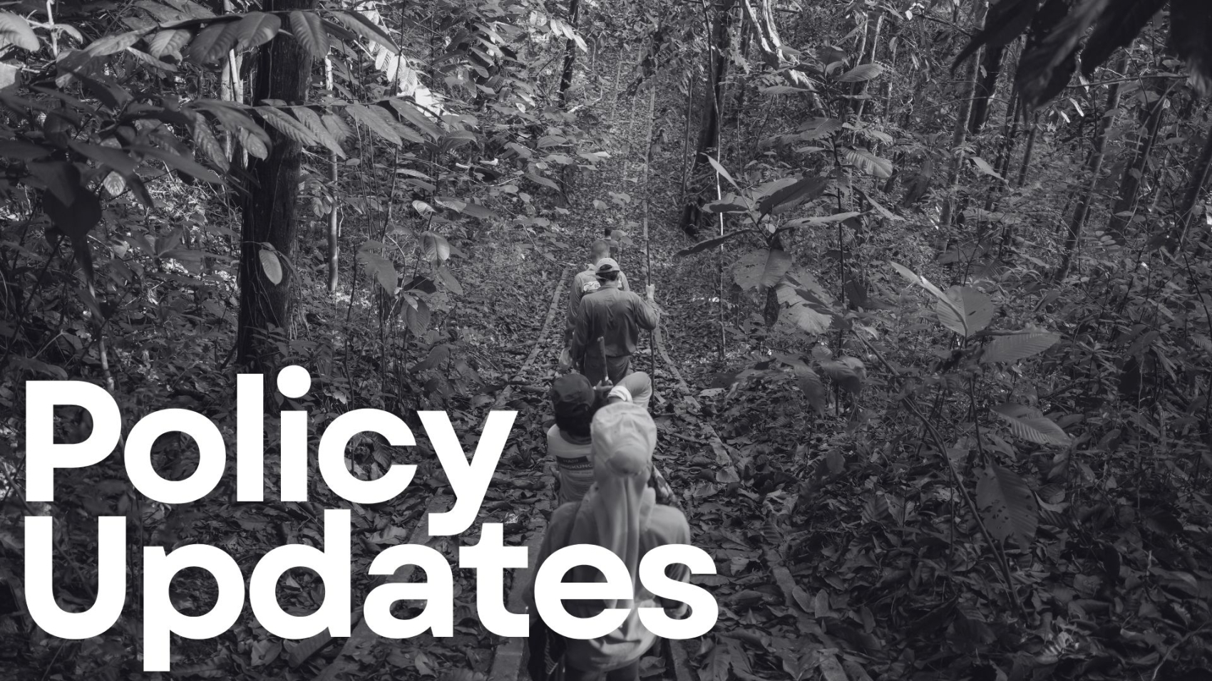 IKI HUB POLICY UPDATES April